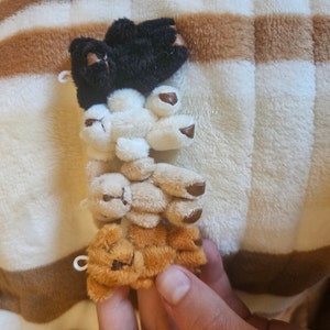 Maddison added a photo of their purchase