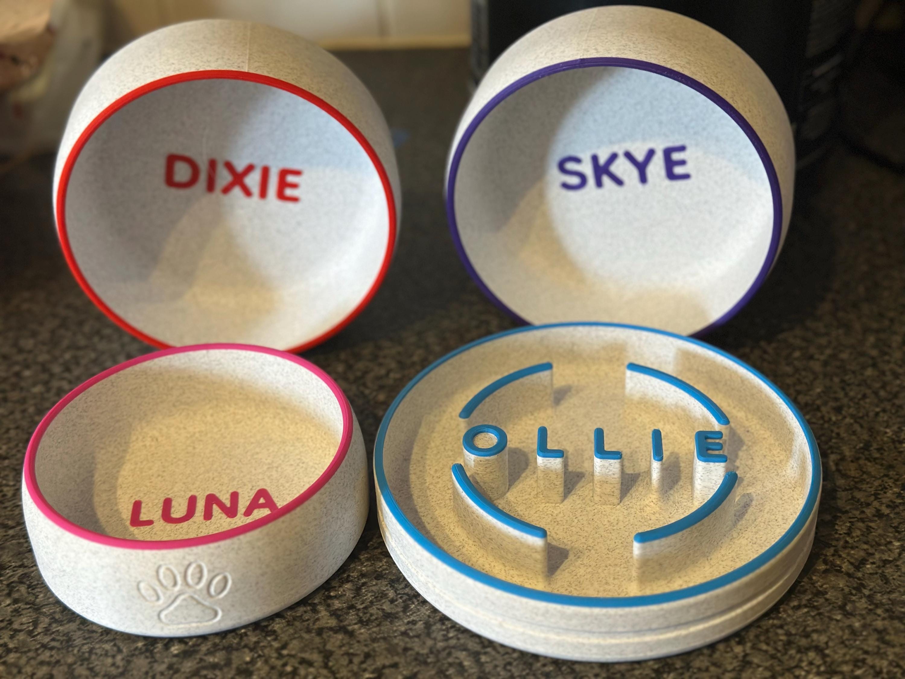 Personalized Dog Bowl with Name