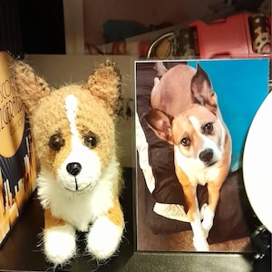 Rachel added a photo of their purchase