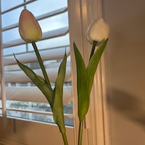 cathy ha añadido una foto de su compra