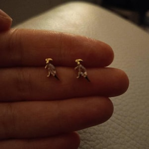 Laura added a photo of their purchase