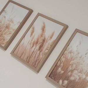 Charlotte added a photo of their purchase