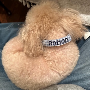 amadee added a photo of their purchase