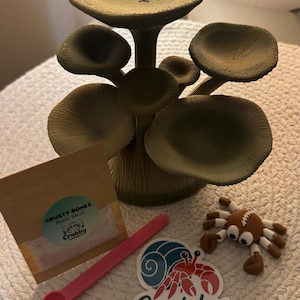 Ruth added a photo of their purchase