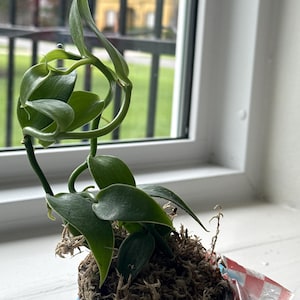 Gabriela ha añadido una foto de su compra