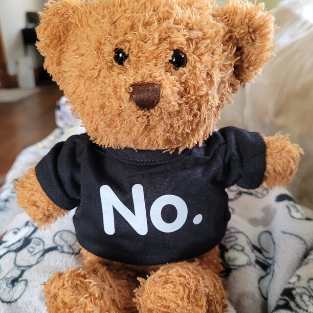 Custom-Printed T-Shirt for Any 6 to 14 Teddy Bear