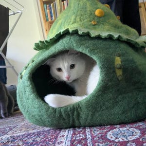 Nora added a photo of their purchase