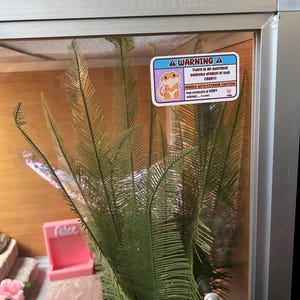 Amanda added a photo of their purchase