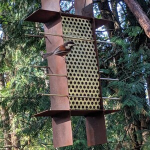 liz witowski added a photo of their purchase