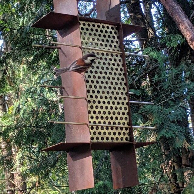 liz witowski added a photo of their purchase