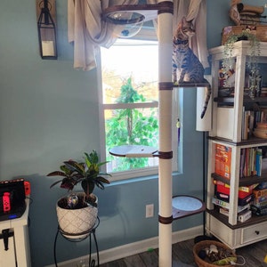 Ashley added a photo of their purchase