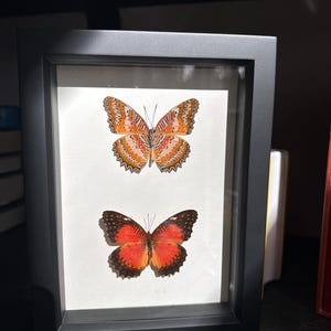 Mandi added a photo of their purchase