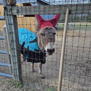 Holly added a photo of their purchase