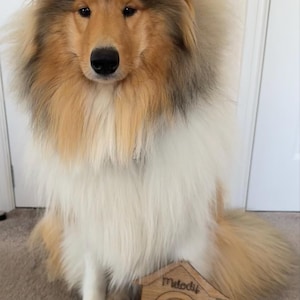 Amy added a photo of their purchase
