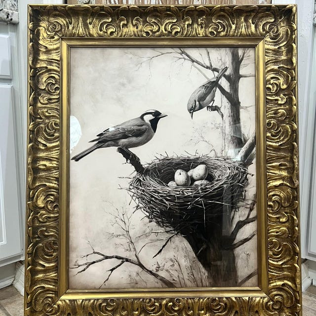 Le Duo de Tableaux Oiseaux Décor Mural Cabinet de Curiosités Chehoma