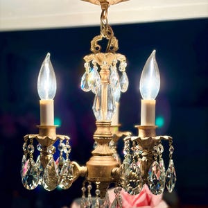 Neue added a photo of their purchase