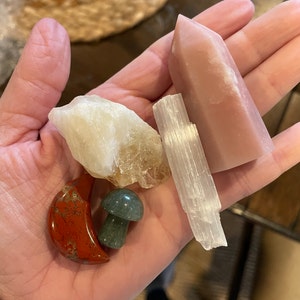 Kim added a photo of their purchase
