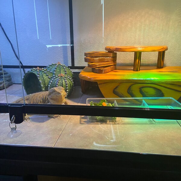 Square Hide With Ramp - Etsy