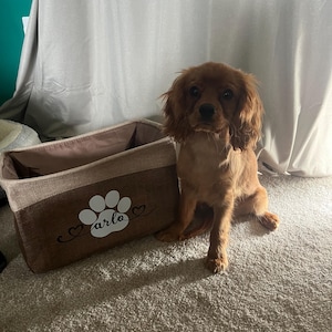 Sophie added a photo of their purchase