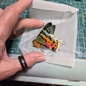 Neita ha aggiunto una foto del proprio acquisto