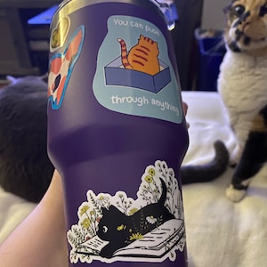 Taylor heeft een foto van de aankoop toegevoegd