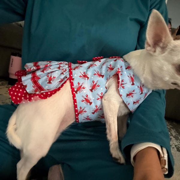 Spotty Dogs Adult Dress main image 0
