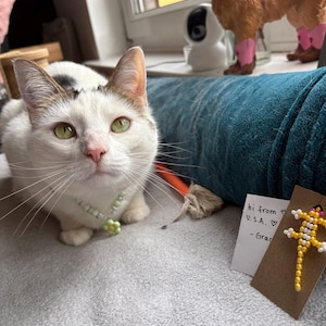Erin added a photo of their purchase