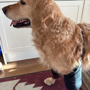 Pippa added a photo of their purchase