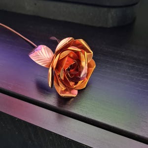 Sandy added a photo of their purchase