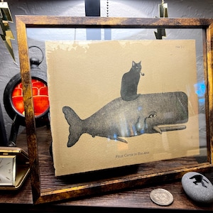 Earl added a photo of their purchase