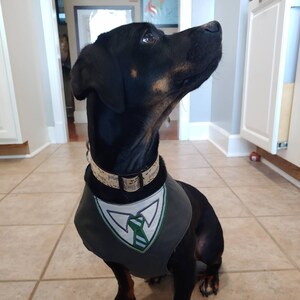 harry potter dog harness