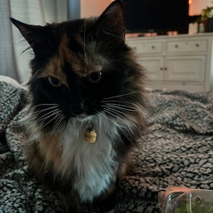 Comprador de Etsy ha añadido una foto de su compra