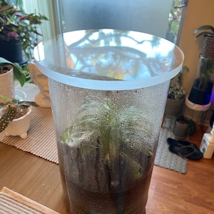 Sommer added a photo of their purchase