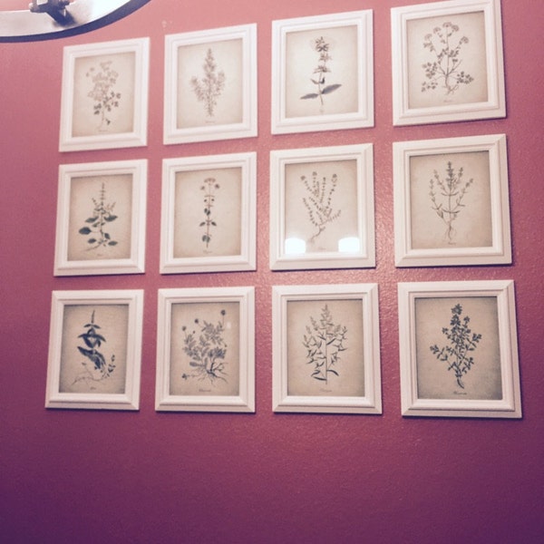 Kitchen Herbs Wall Art Print Set of 12, Vintage Botanical Herb Prints ...