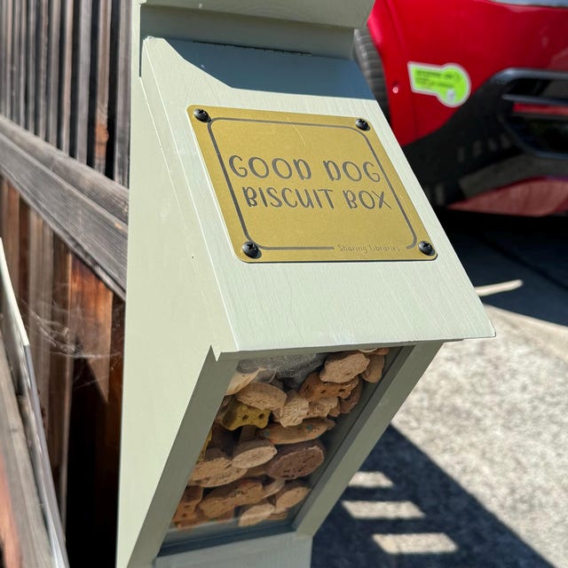 Good dog treat box discount