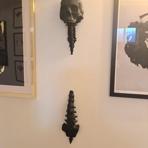 Zackary ha añadido una foto de su compra