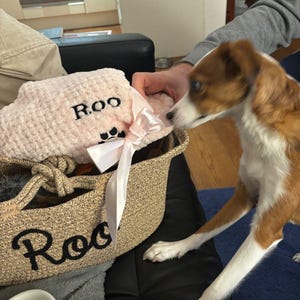 Kay added a photo of their purchase