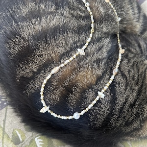 Noah added a photo of their purchase