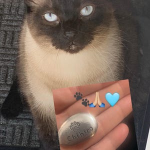 Courtney added a photo of their purchase