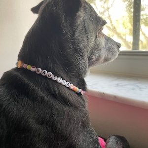 Carolina added a photo of their purchase