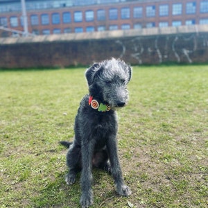 Emily hat ein Foto des gekauften Artikels hinzugefügt