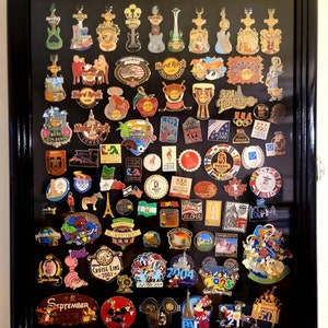 Pin Collector's Display Case - for Disney, Hard Rock, Olympic, Political  Campaign & Other Collectible Pins & Medals - Holds Up to 100 Pins