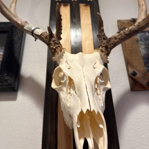Northstar added a photo of their purchase
