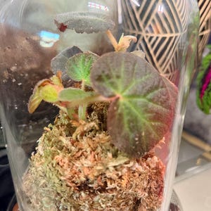 Kal added a photo of their purchase
