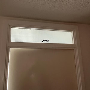 Brogan さんが購入した商品の写真を追加しました