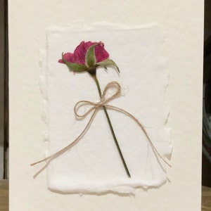Sue added a photo of their purchase