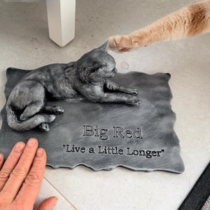 Ralph hat ein Foto des gekauften Artikels hinzugefügt