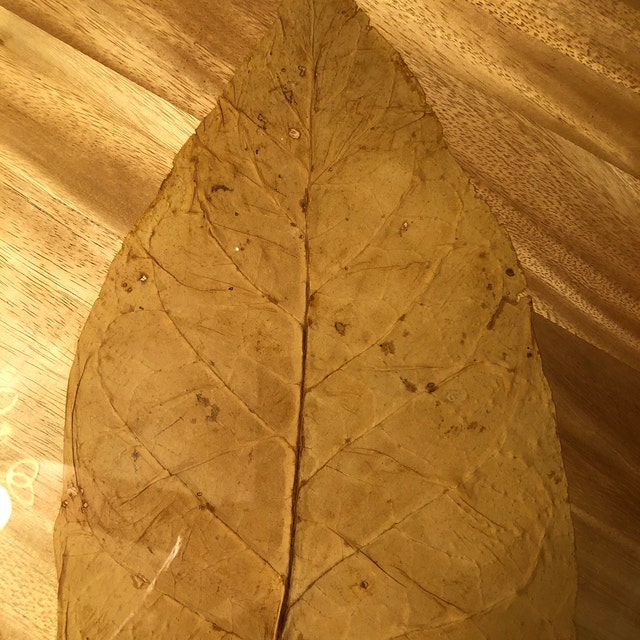 Tobacco Leaf Decor (flue-cured)