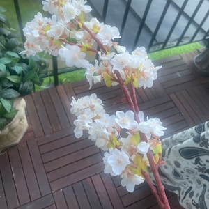 River added a photo of their purchase