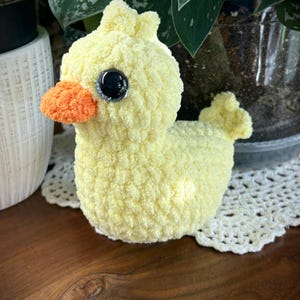 Lori added a photo of their purchase